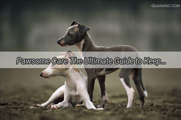 Pawsome Care The Ultimate Guide to Keeping Your Canine Companions Healthy and Happy